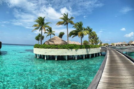 brown wooden dock on body of water during daytime